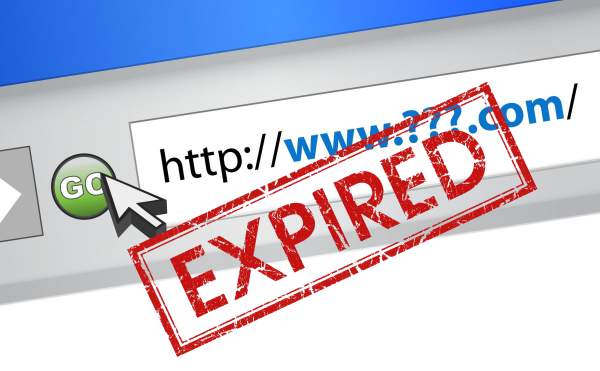 Find expired domains for SEO : Feedback